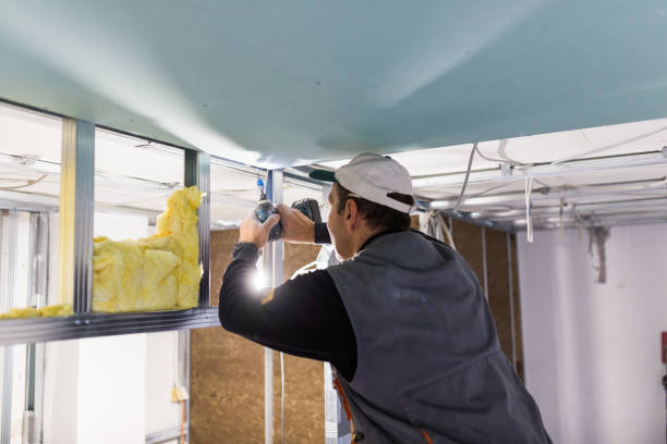 Best Local Insulation Services  in Myrtle Grove, NC