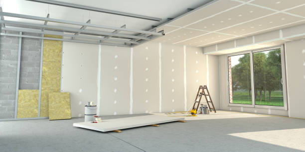 Best Insulation Removal  in Myrtle Grove, NC