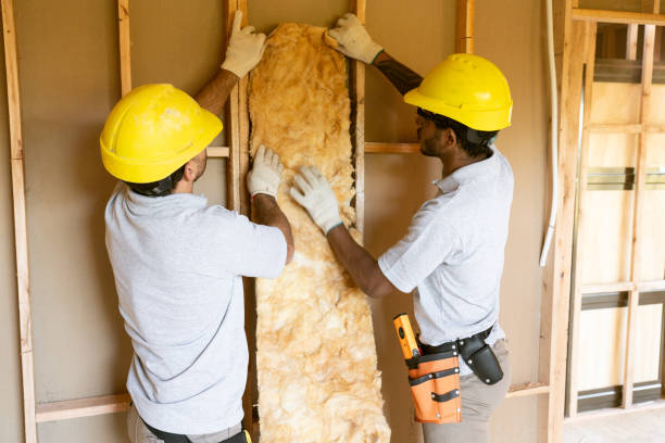 Best Residential Insulation Services  in Myrtle Grove, NC