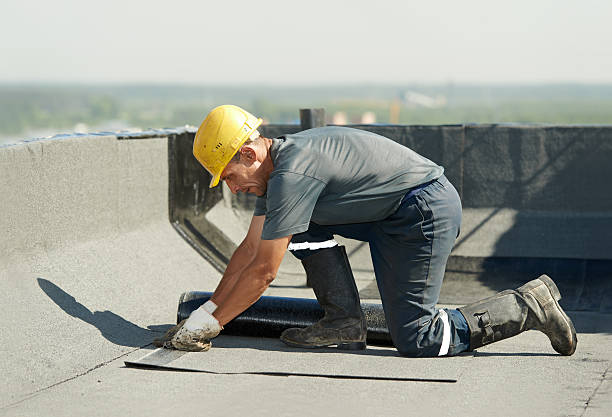 Best Home Insulation Services  in Myrtle Grove, NC