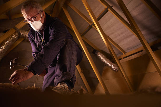 Best Best Insulation Companies  in Myrtle Grove, NC