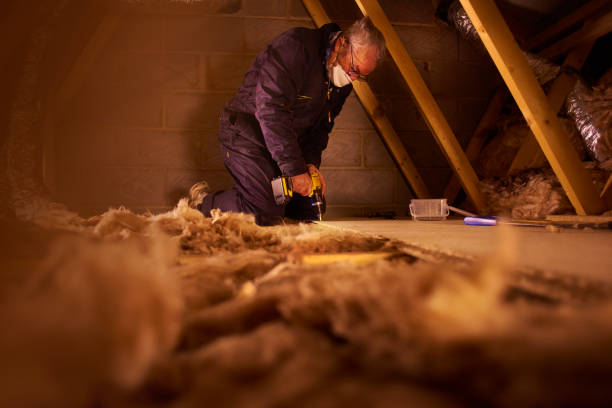 Best Insulation Contractors for Homes  in Myrtle Grove, NC